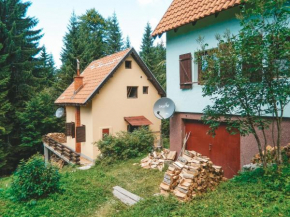 Vikendica Draskovic, Kopaonik